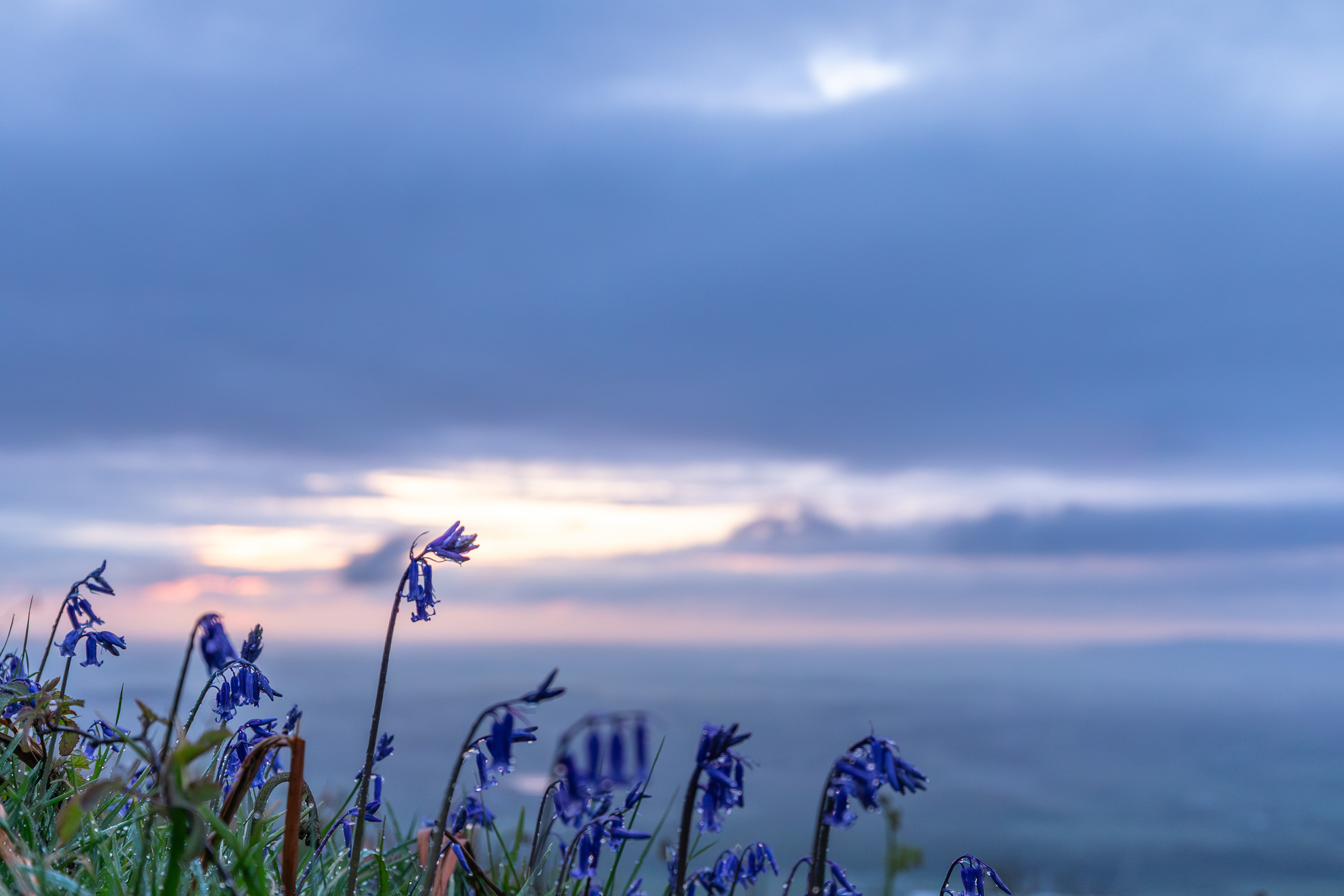 Early Morning - Malvern Hills
