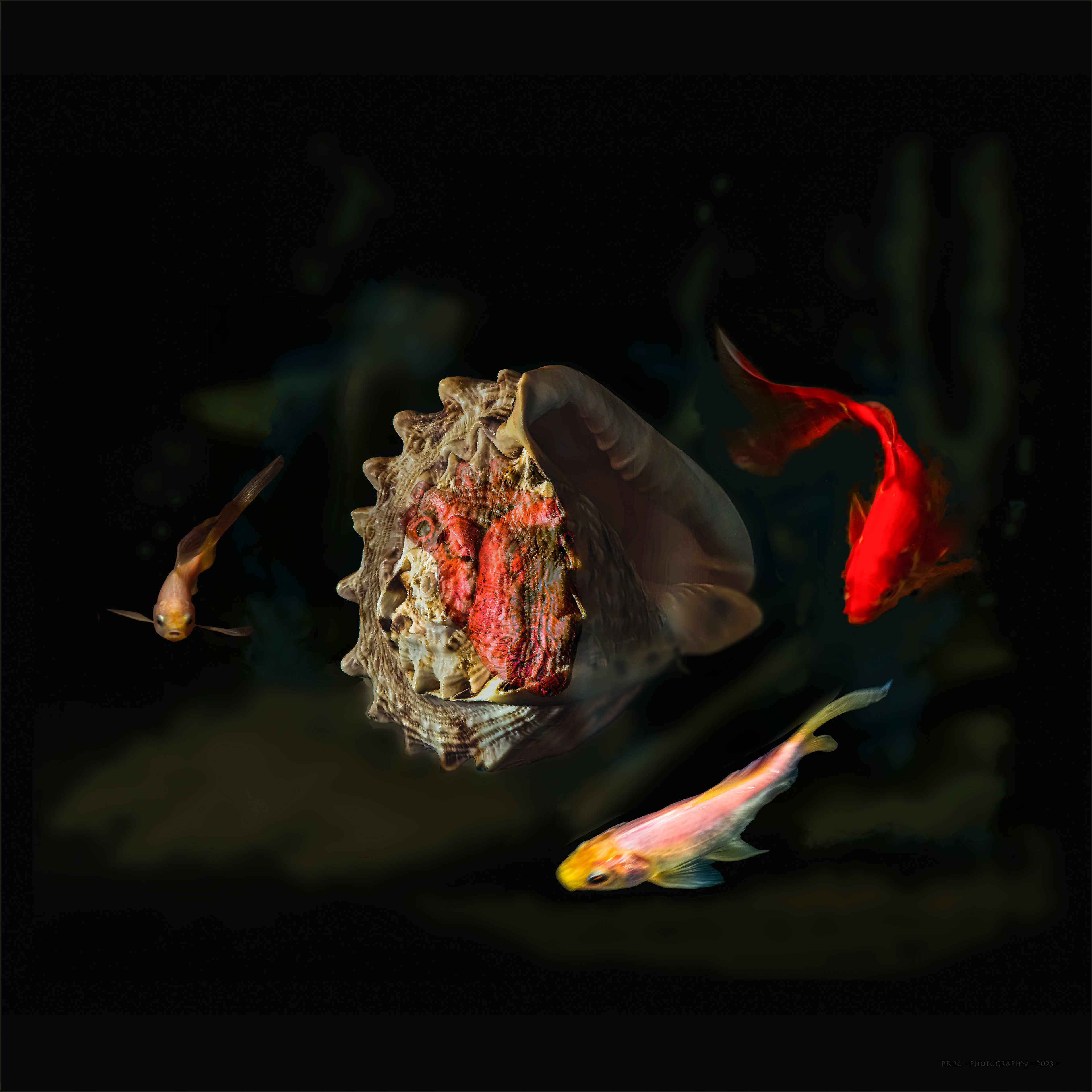 The Heart In The Depths' - Morphettville Studio - Morphettville - Adelaide, SA. March 2023. Based on my original idea , dated of 1984, in the first instance, transformed art work in graphite and ink, on canvas paper, now transposed into abstract /surreal photography.
