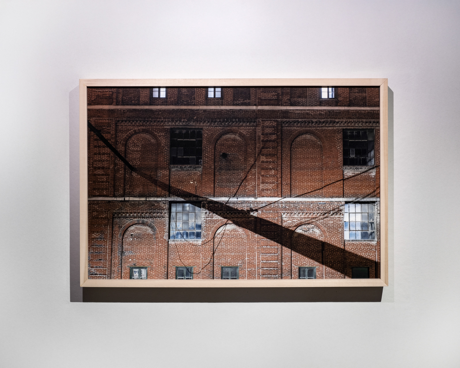 Untitled, 30 x 20 in, 2023