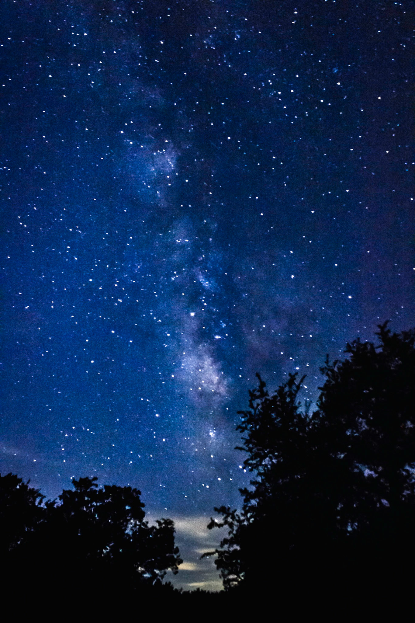 The Stars at Night