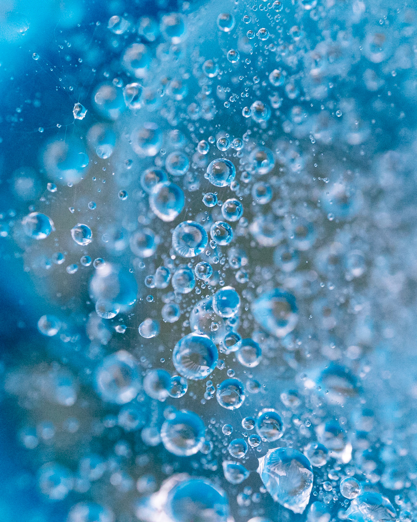 Lost in a Land of Bubbles