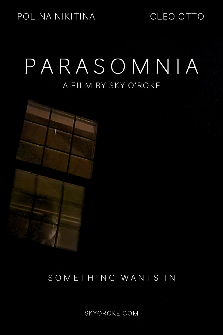 Film poster for Parasomnia, girl looking out window towards the darkness