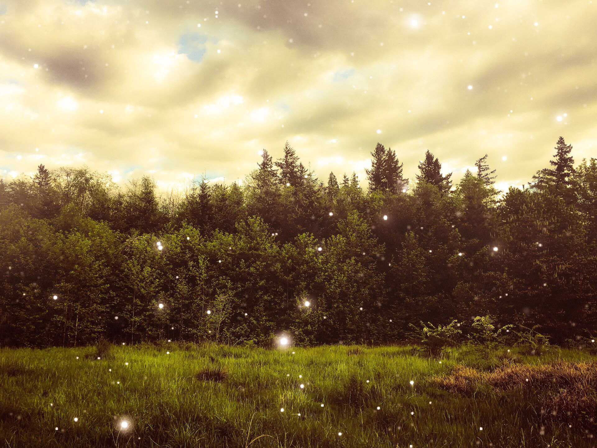 Sacred Fields. Shot right off the spring water trail in Gresham