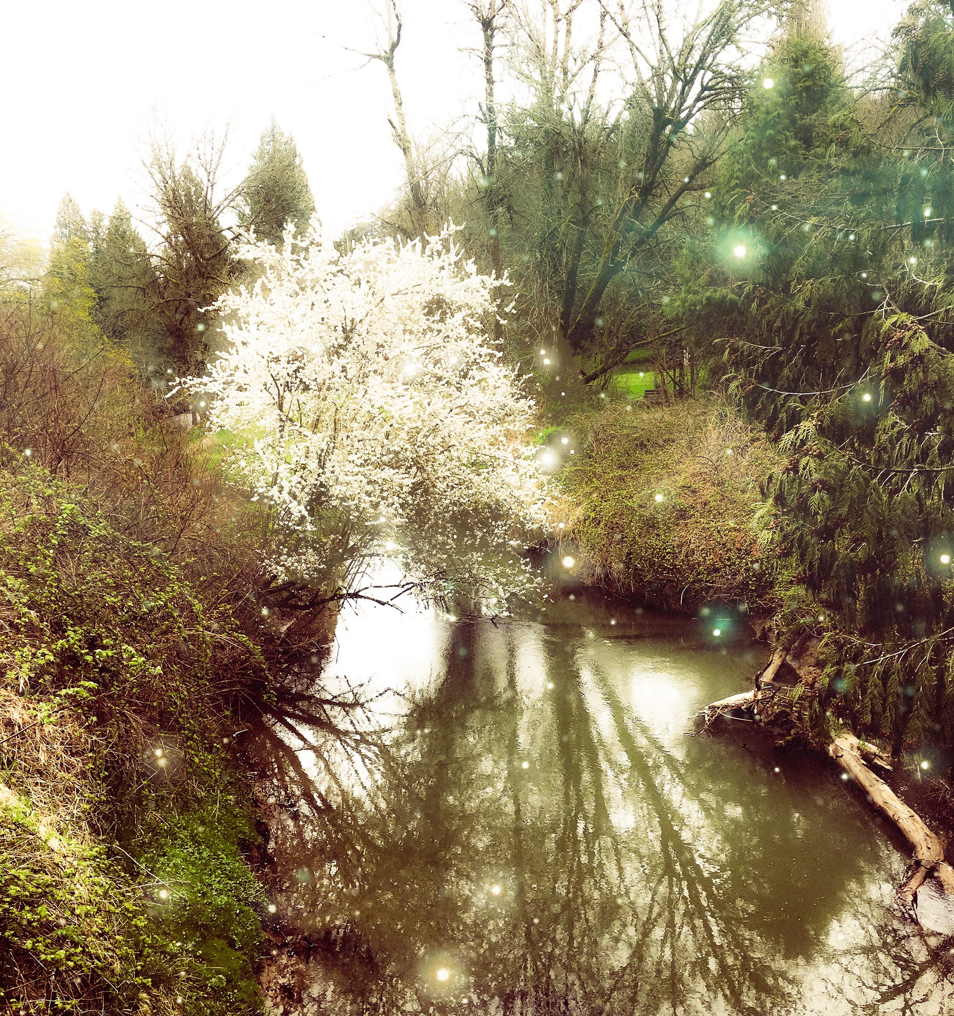 Imaginary Light. Taken off the bridge at Main City Park, Gresham