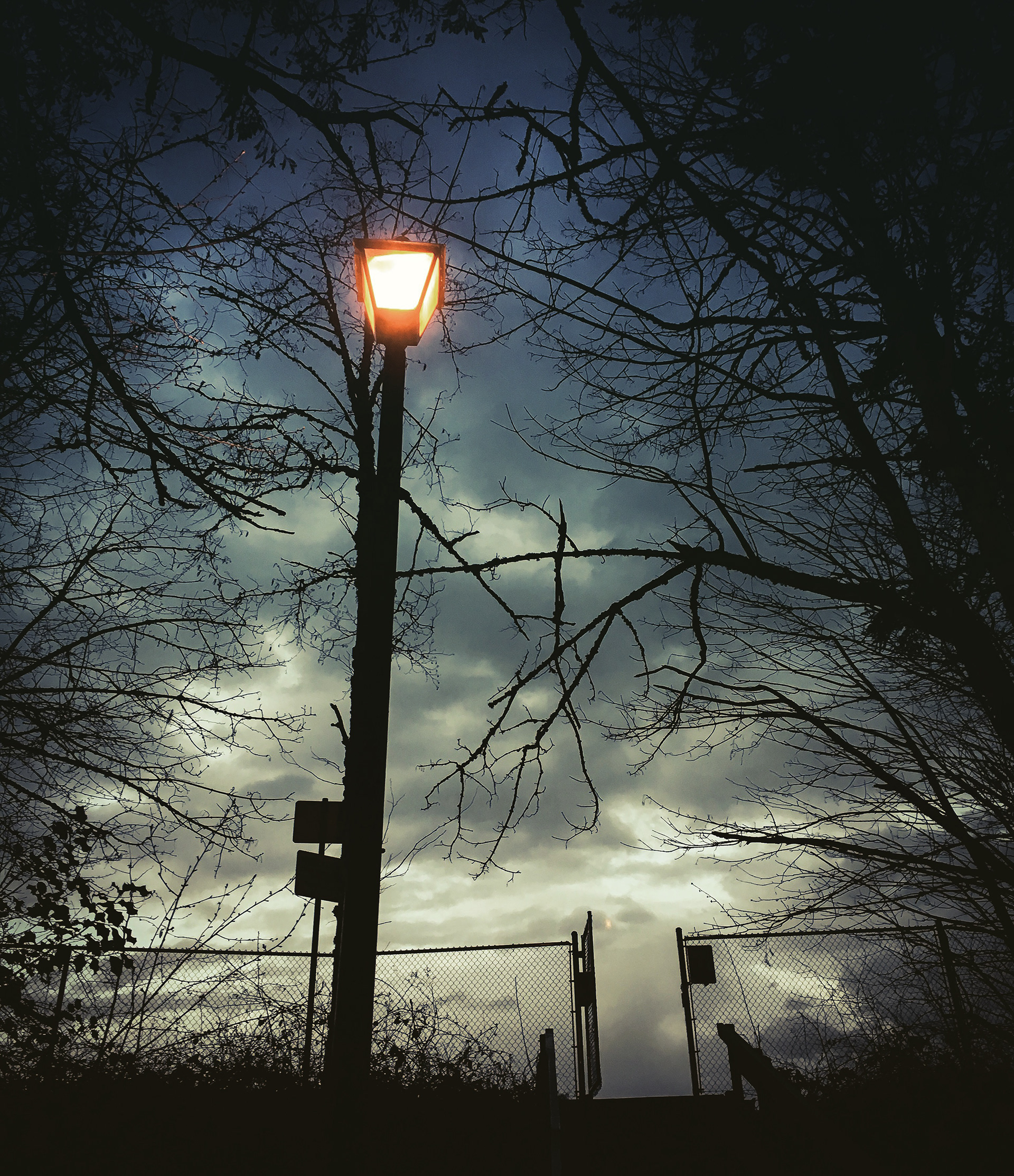 Haunting. Streetlight and ominous skyline.