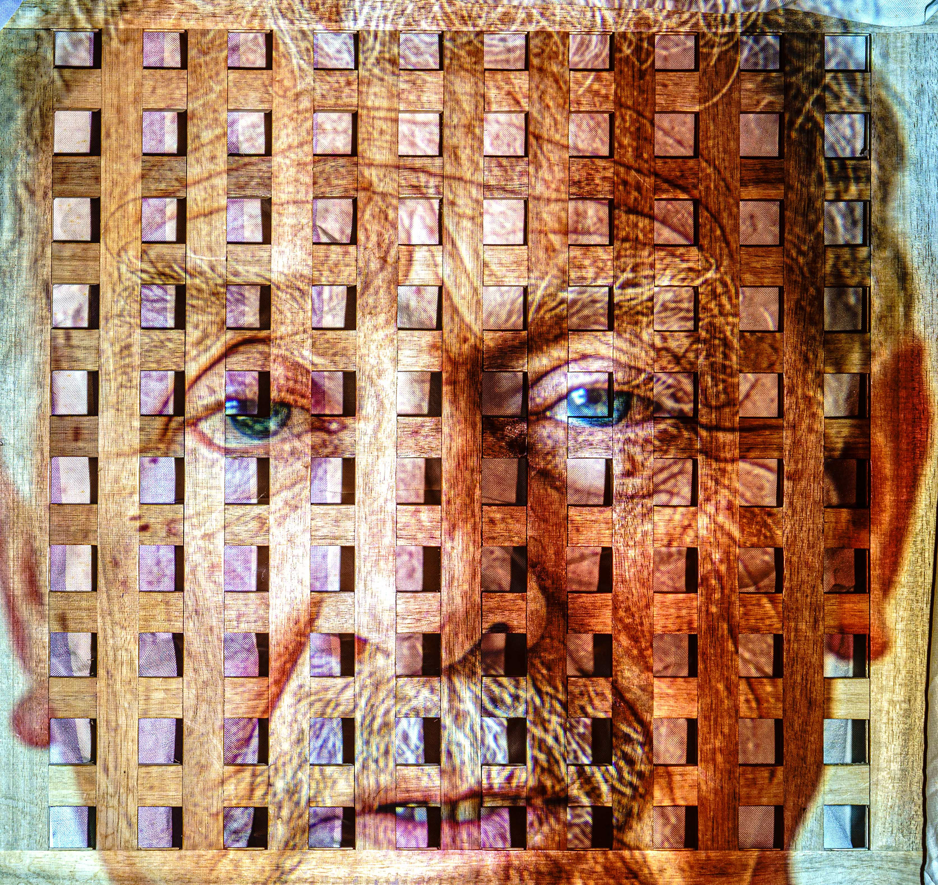 Cubes all over