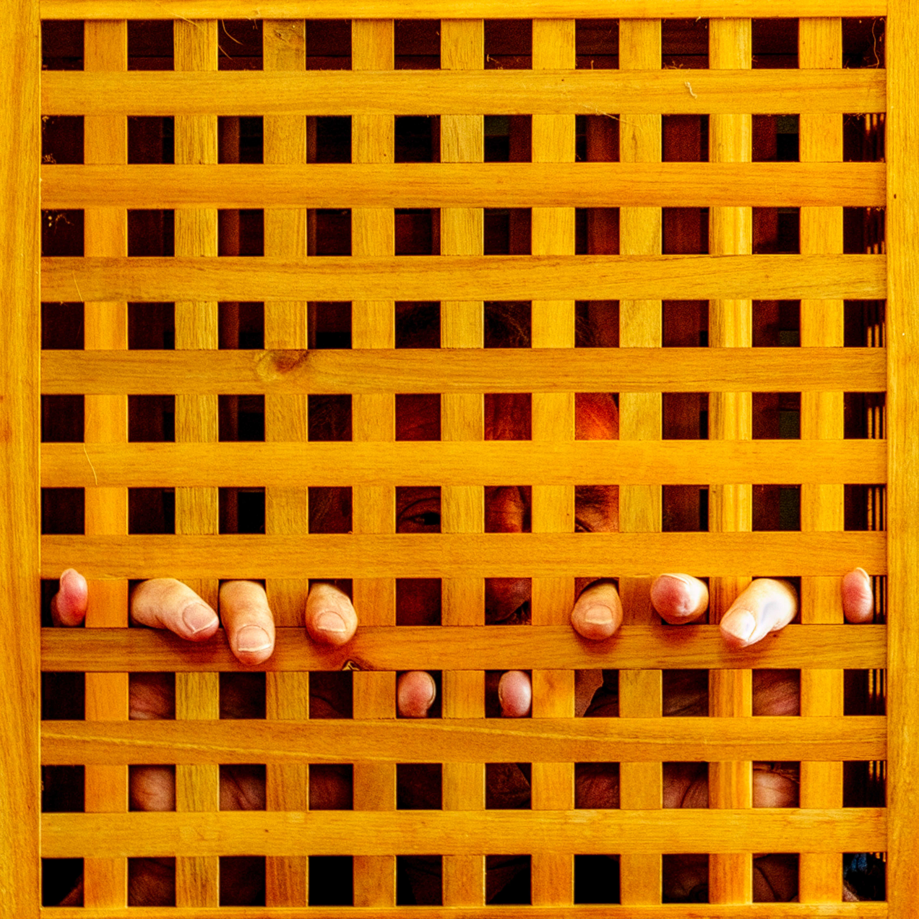 A cage