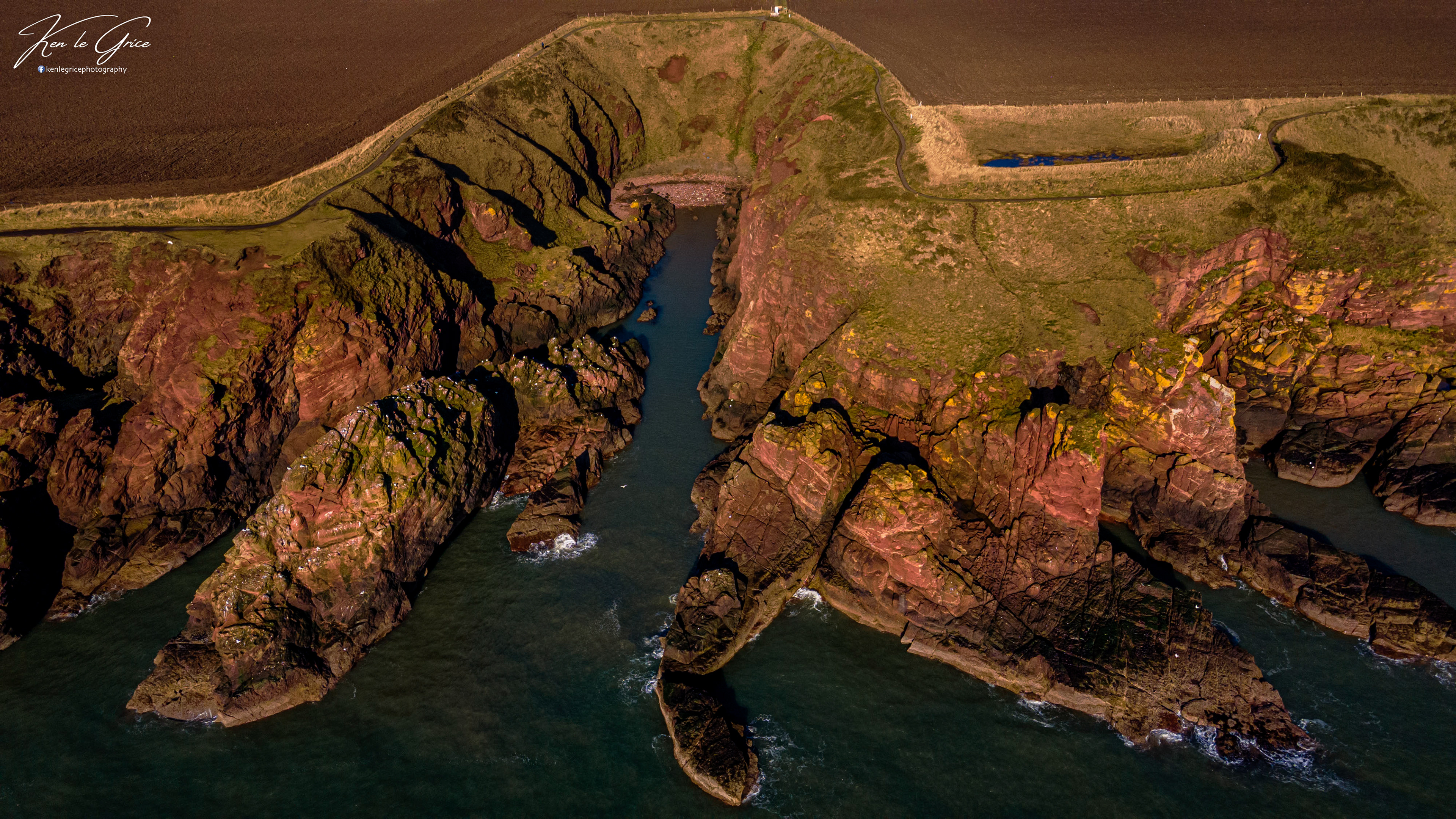 Arbroath Cliffs