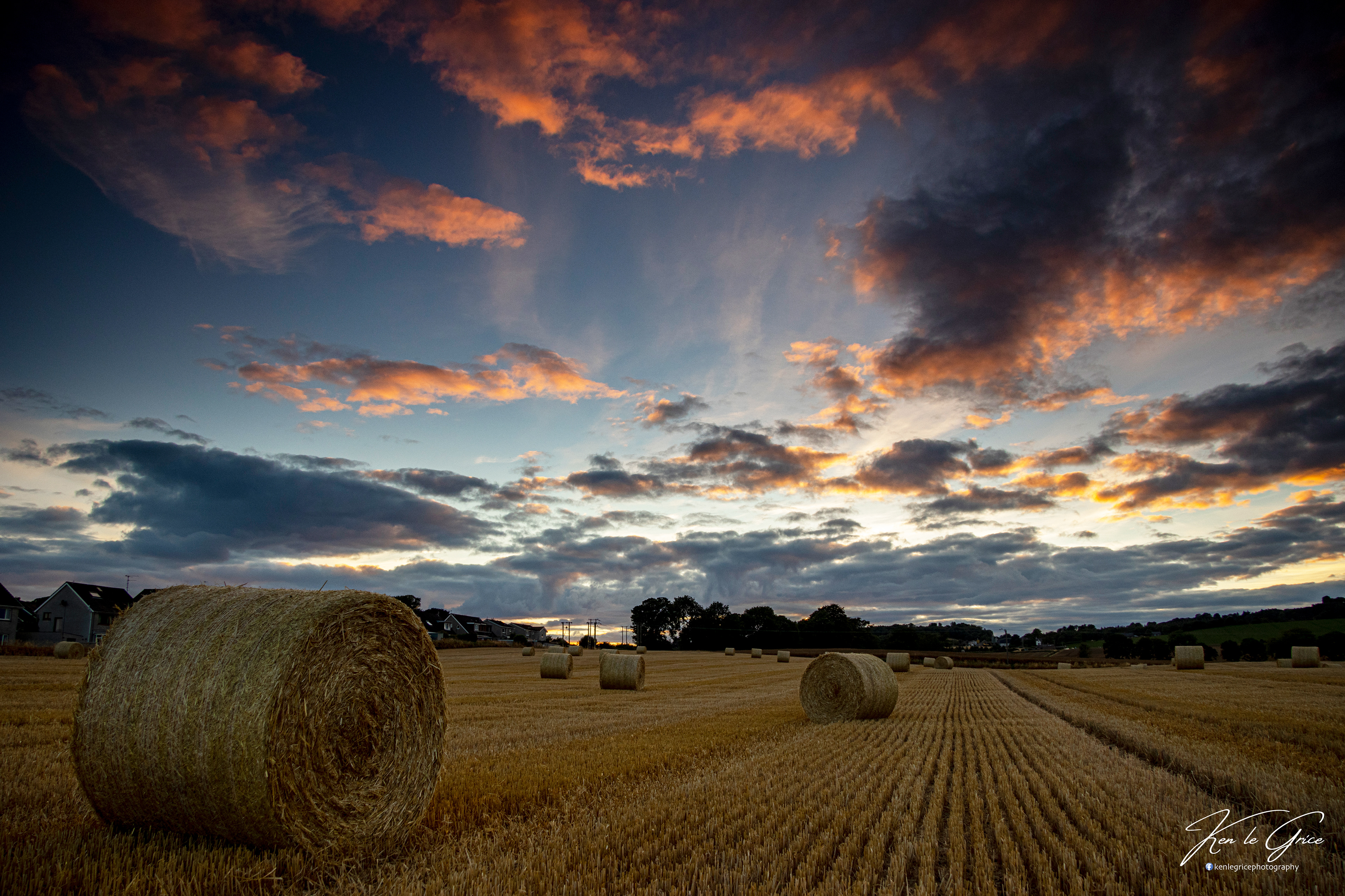 Field at the back of our house in Monifieth, Angus