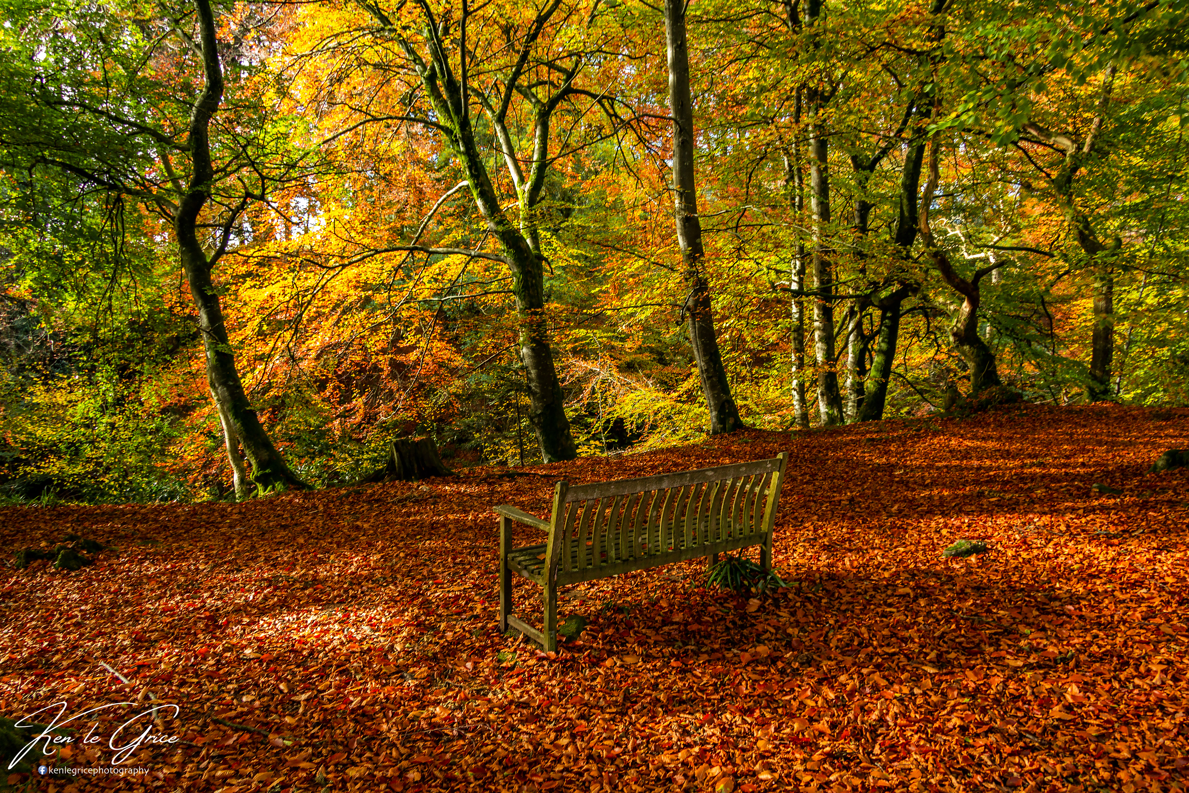Blue Door walk, Edzell