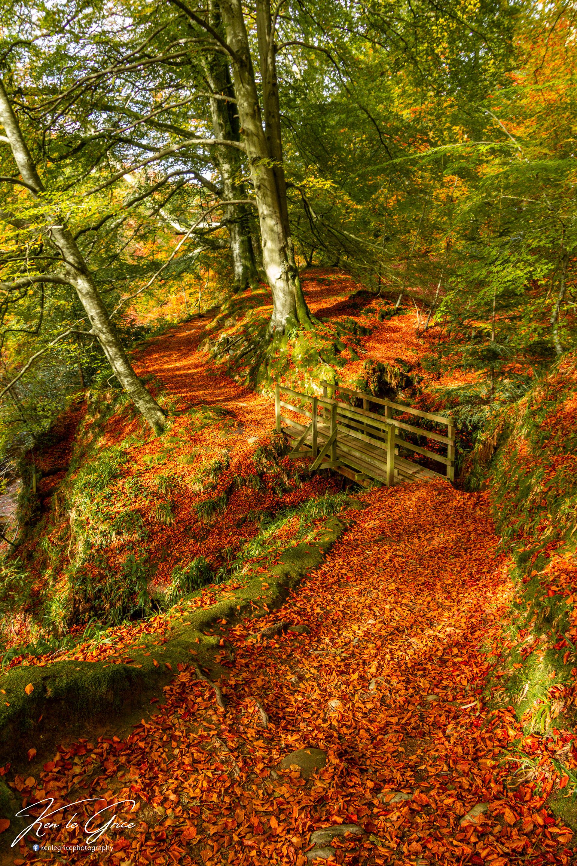 Blue Door walk, Edzell