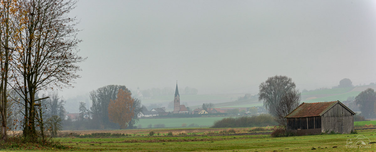 Im Mettenbacher Moos - Unterwattenbach  2021