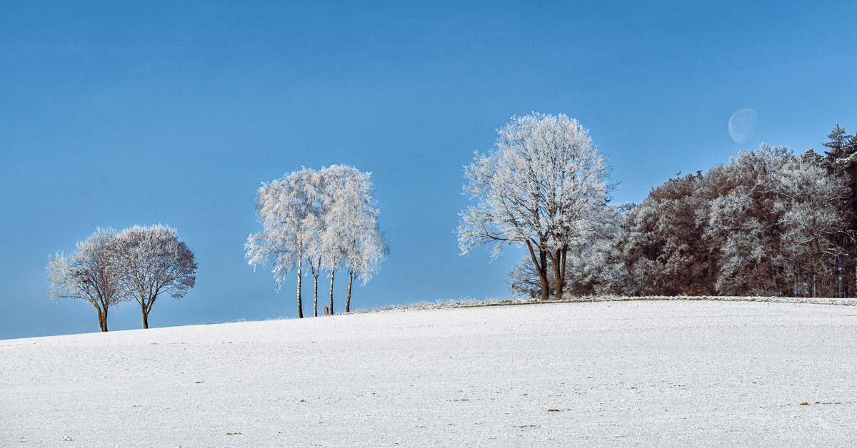 Unterwattenbach 2022