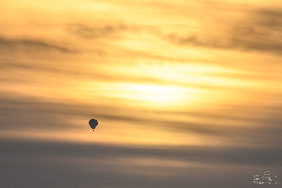 in den Sonnenuntergang - Mettenbacher Moos 2024