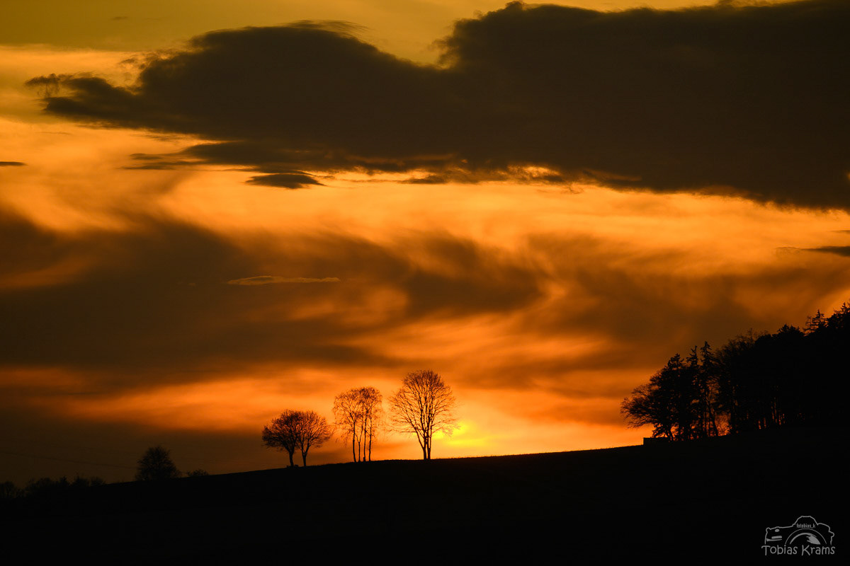 Silhouetten im letzten Licht - Unterwattenbach 2025
