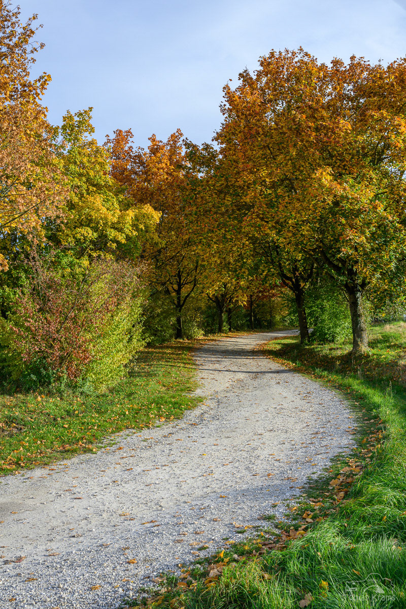 Zum Friedhof - Mettenbach 2024