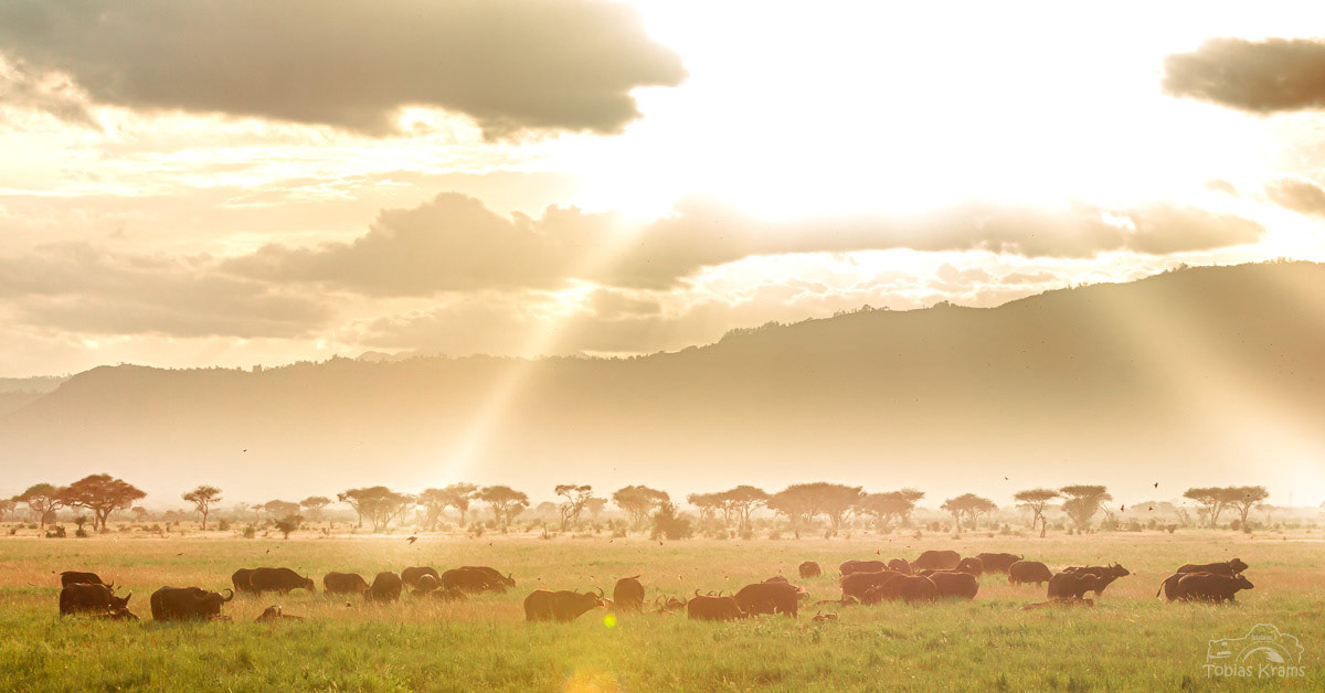 Kenia 2010