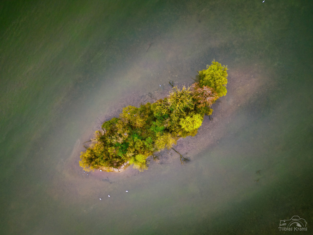 Insel im Isarstausee Niederaichbach 2023