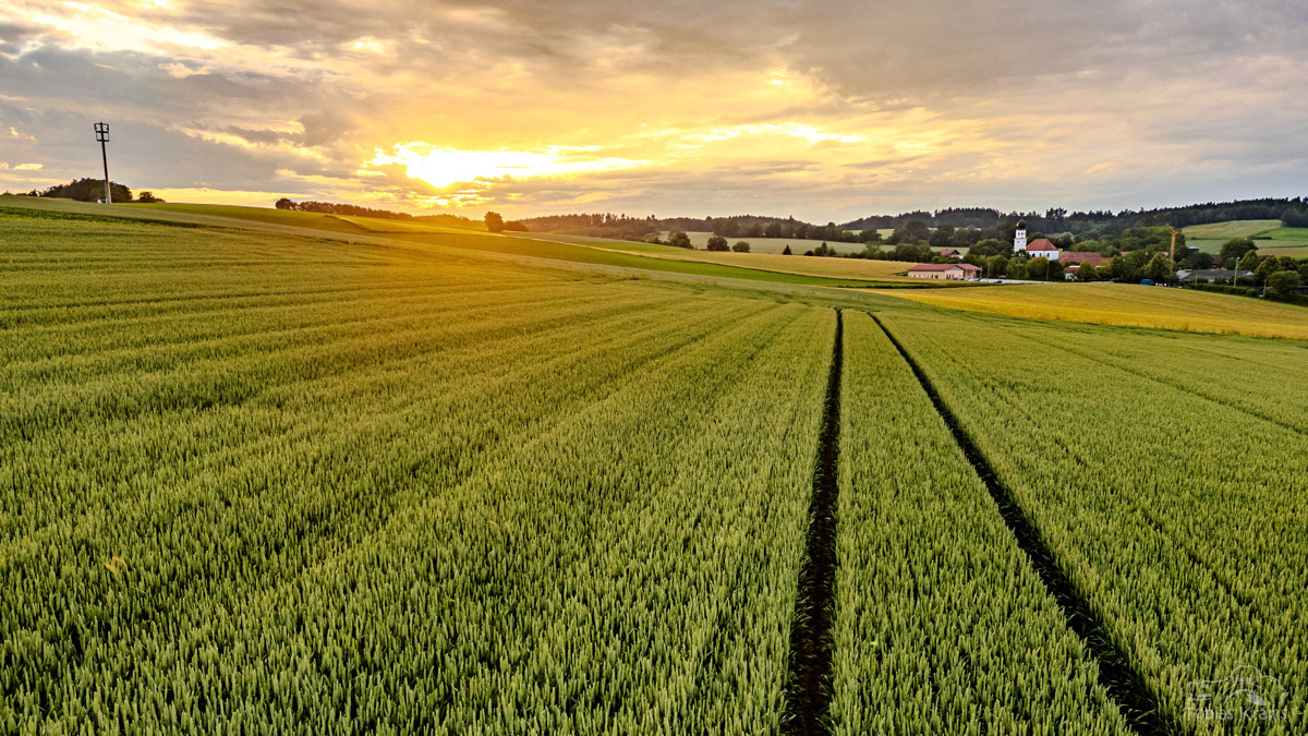 Sonnenuntergang - Mettenbach 2024