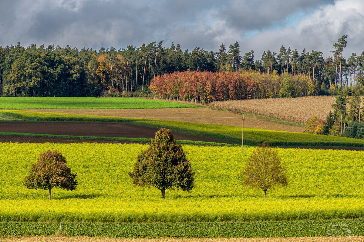 Mirskofen im Herbst 2022