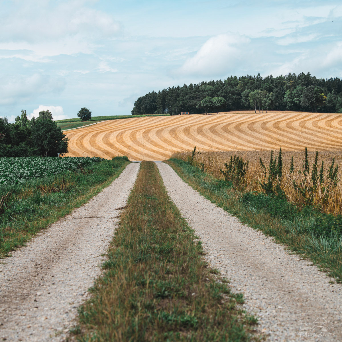 Unterwattenbach 2023