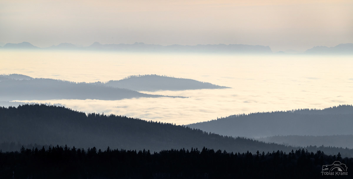 Bayerwald - Blick ins Donautal - 2026