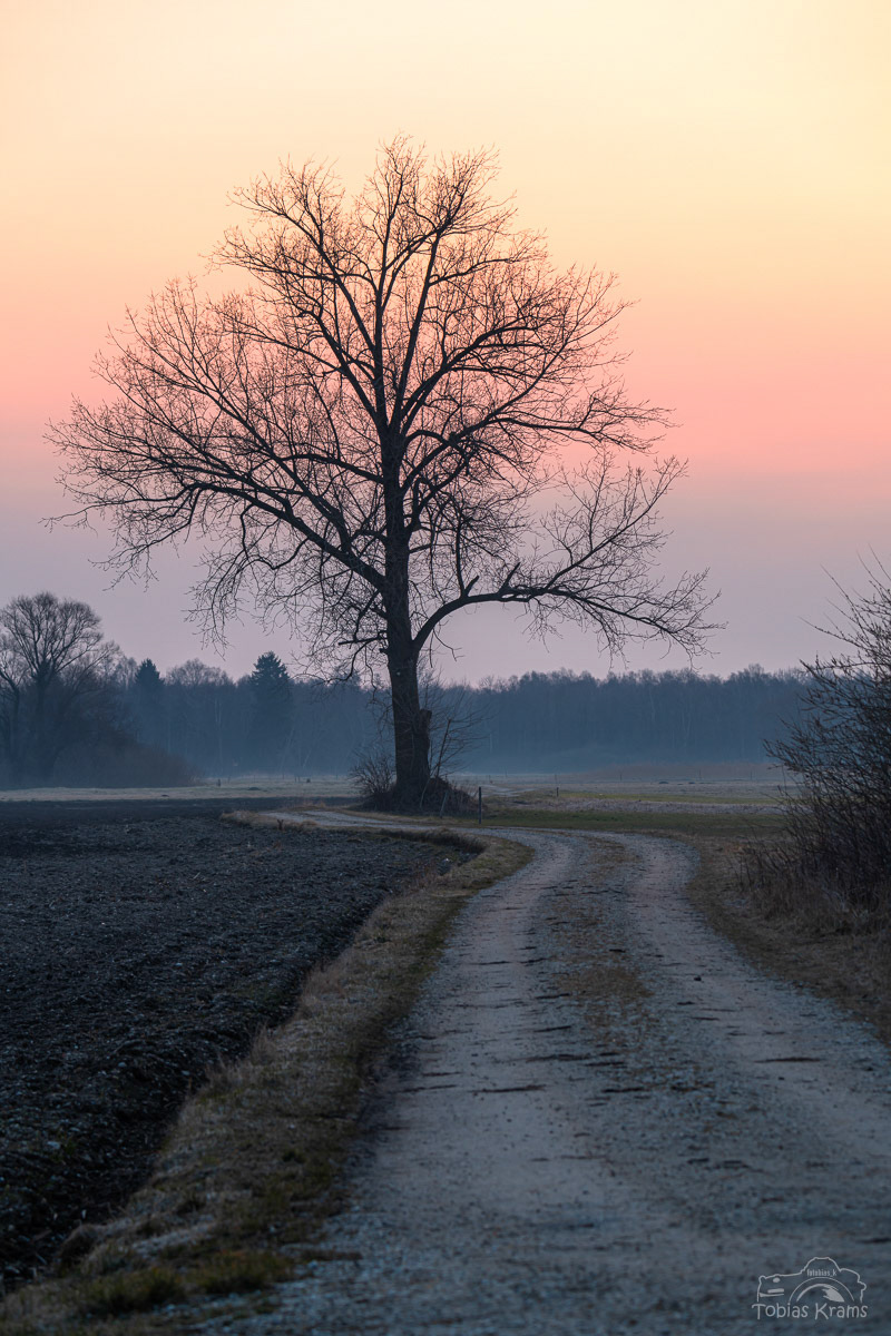 Mettenbacher Moos 2022