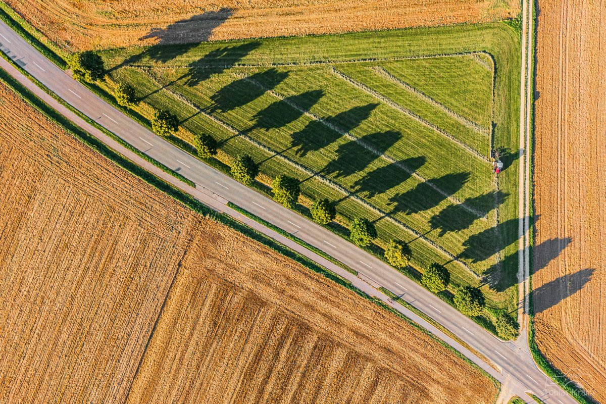 Allee - Mirskofen 2025