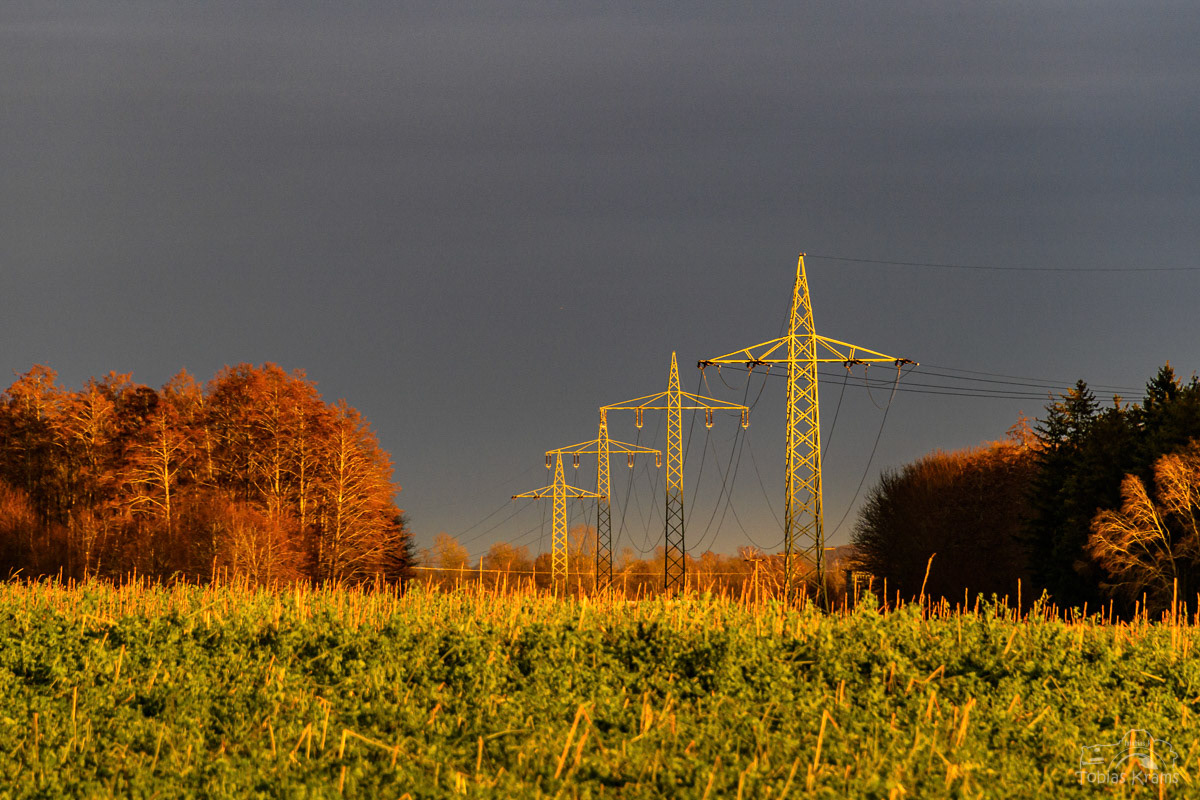 Energie durchs Moos 2023