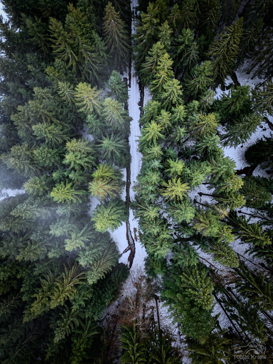 Bayerischer Wald 2023