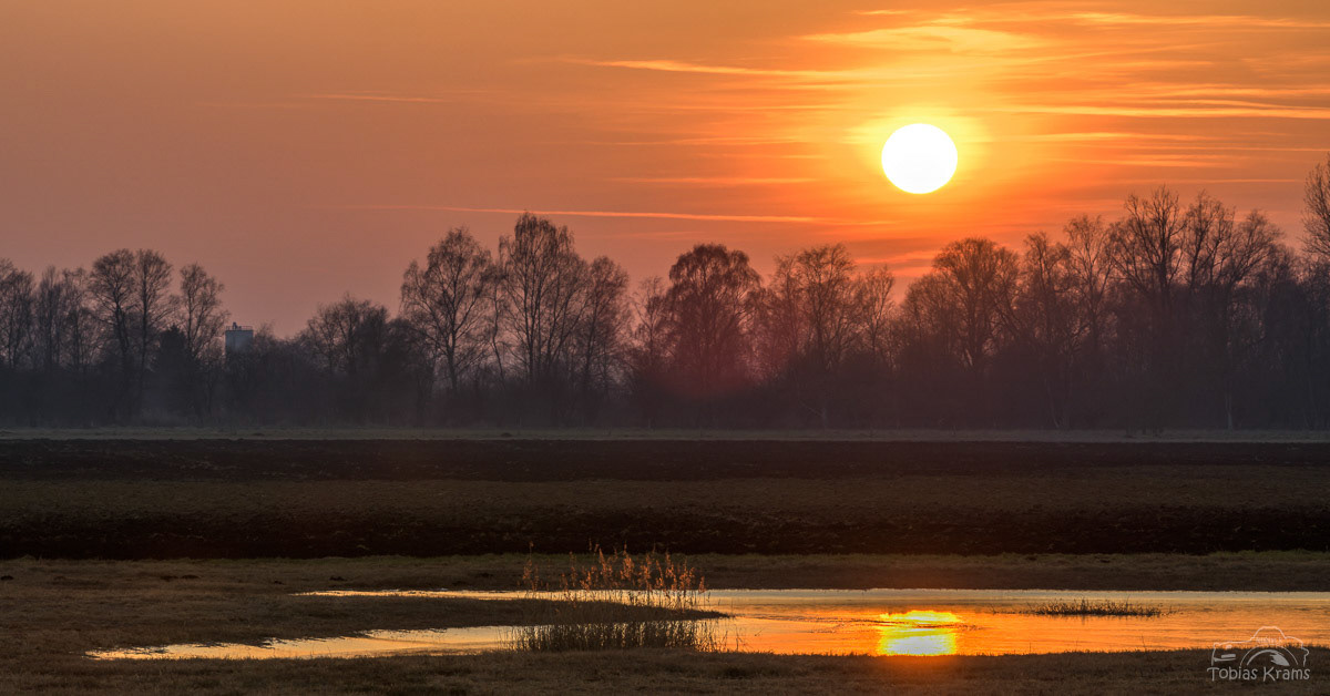 Sonnenuntergang Mettenbacher Moos 2023