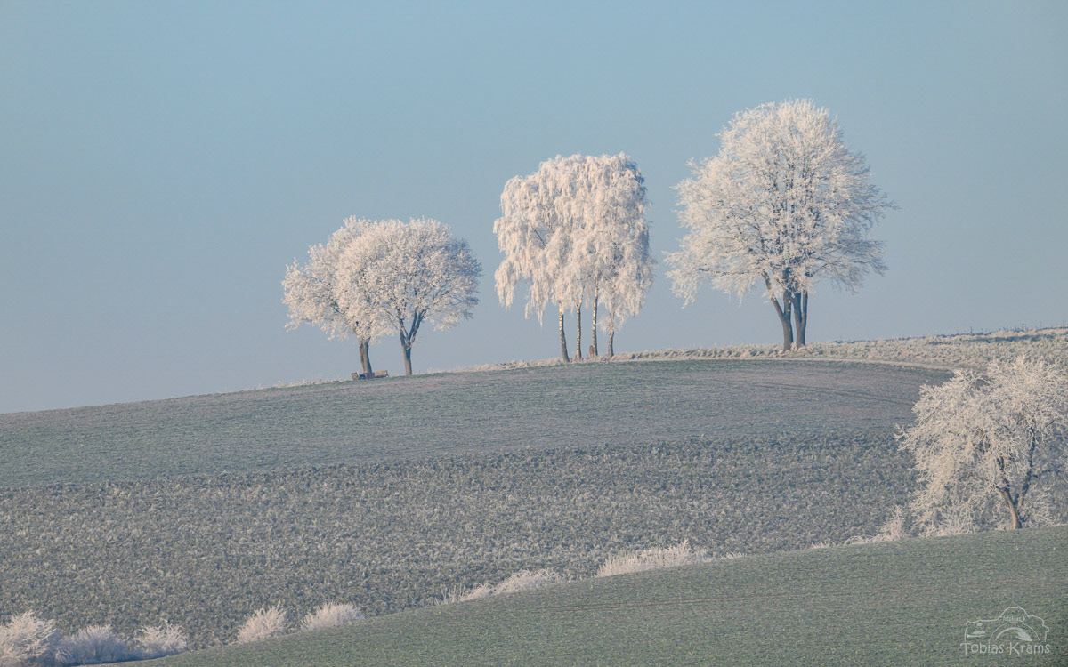 Frost Unterwattenbach 2024