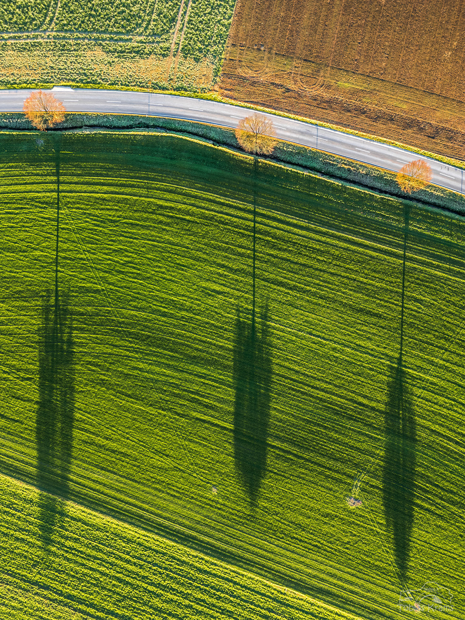 Moosstraße im Mettenbacher Moos 2024