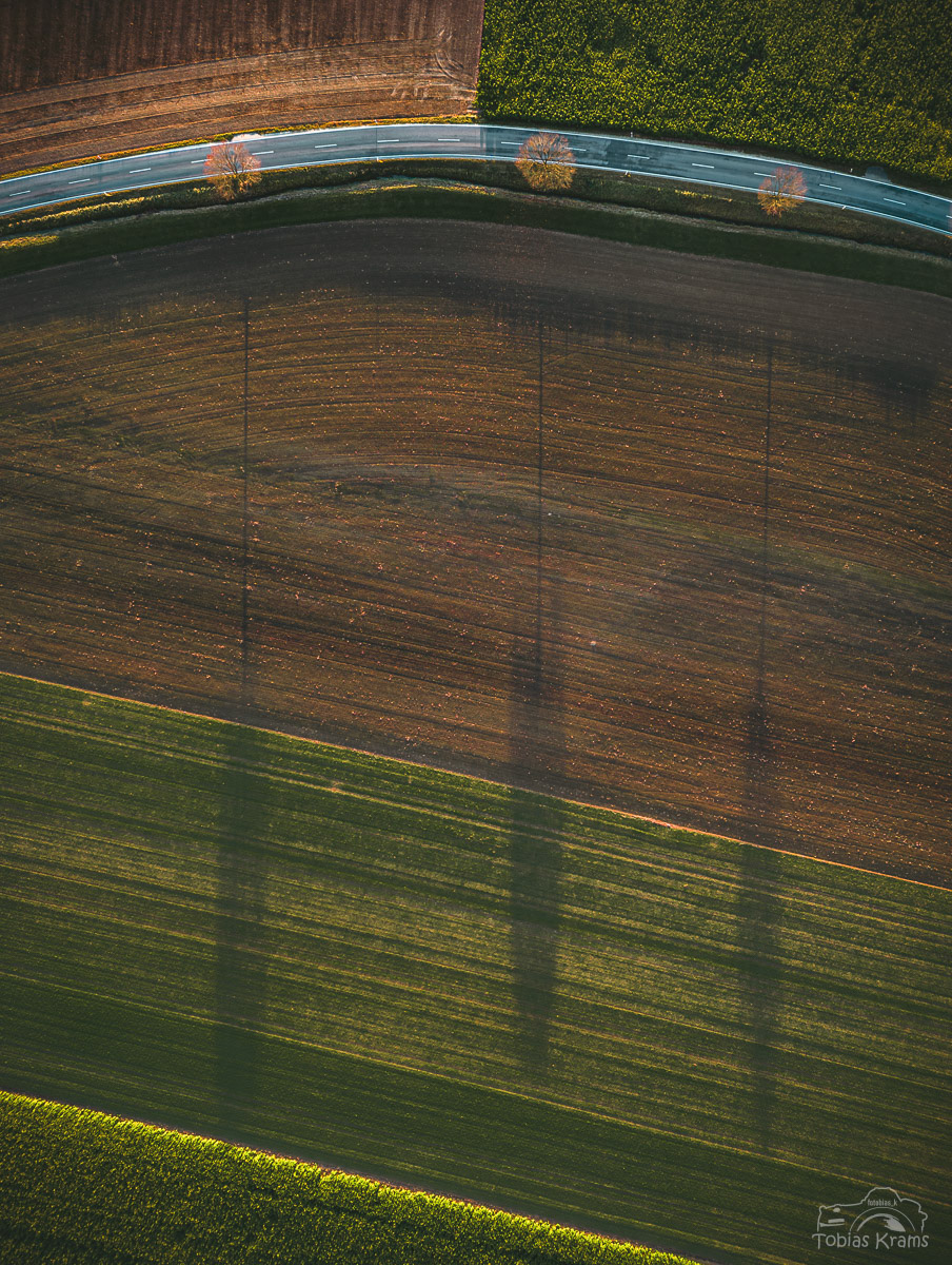 Schattenspiel im Herbst - Mettenbacher Moos 2023