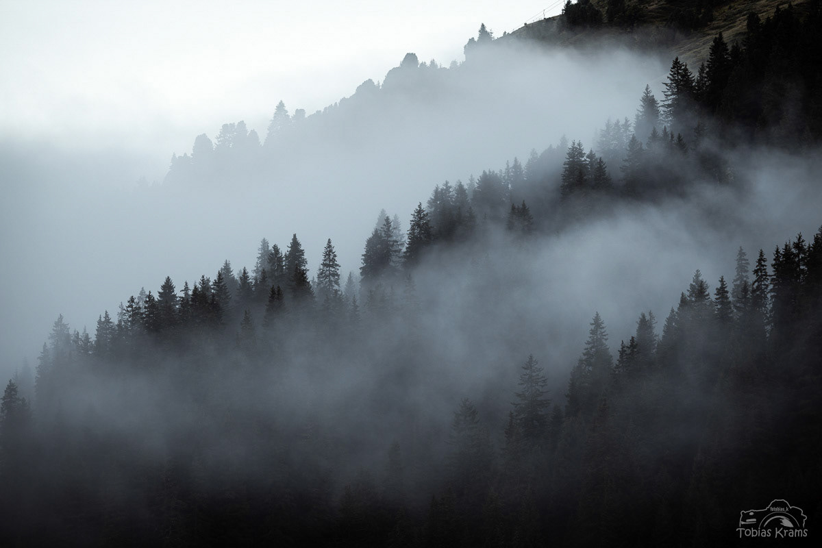Wald und Wolken - Alpen Österreich 2025