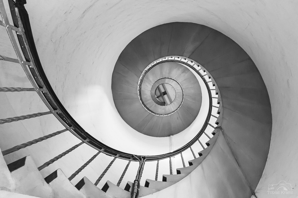 Hvidesande Dänemark 2017