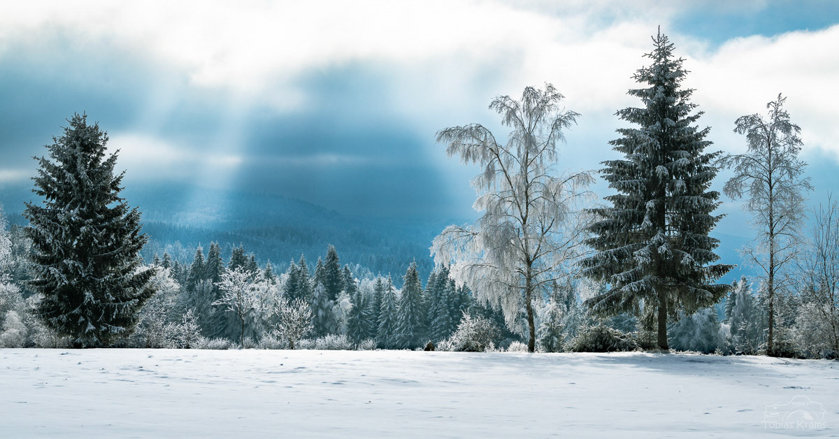 Winter - Finsterau 2023