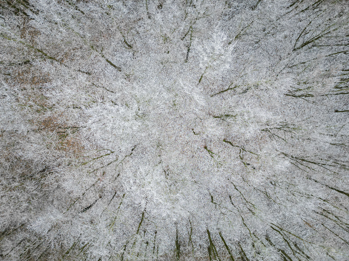 von oben Mettenbach 2024