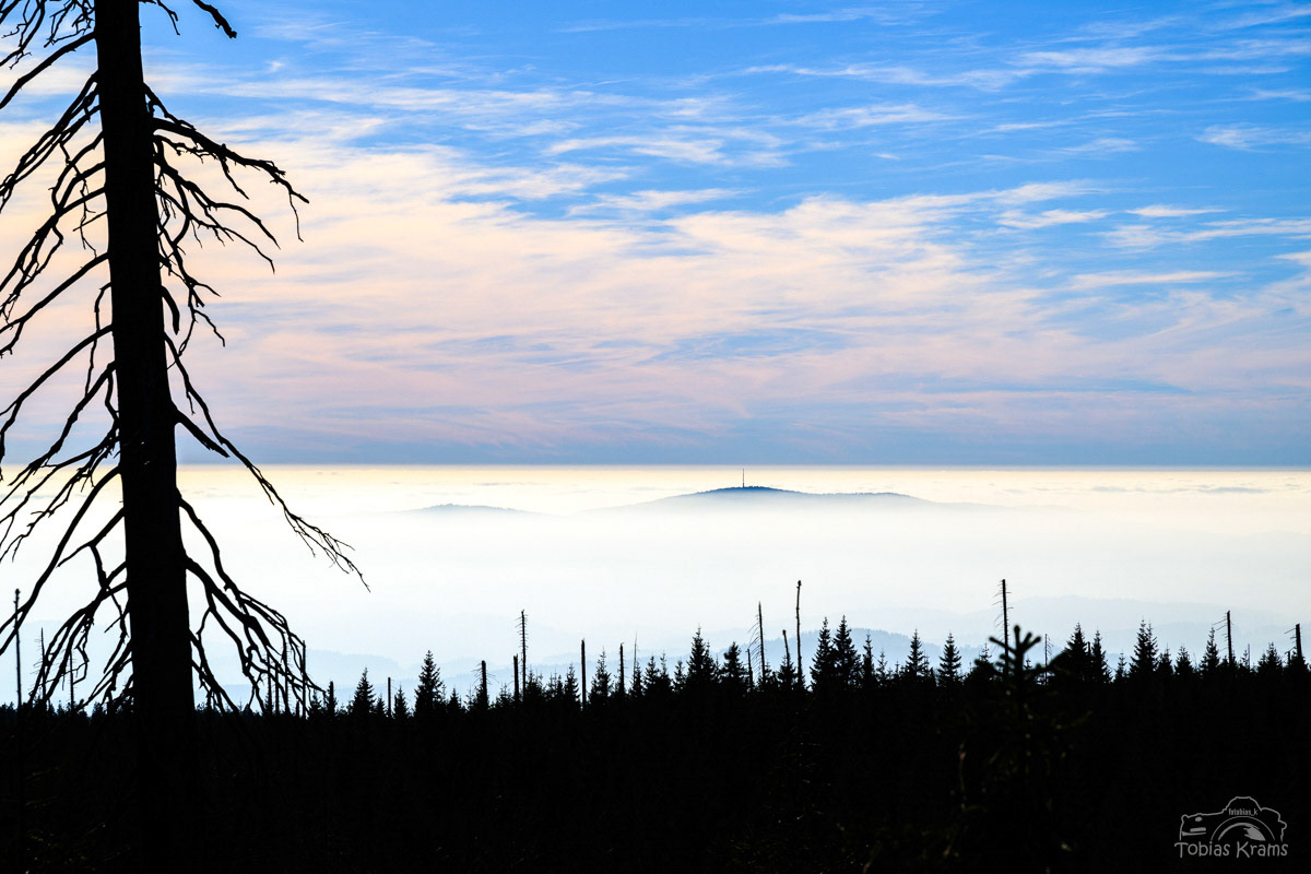 Blick auf den Brotjacklriegel vom Lusen aus 2024
