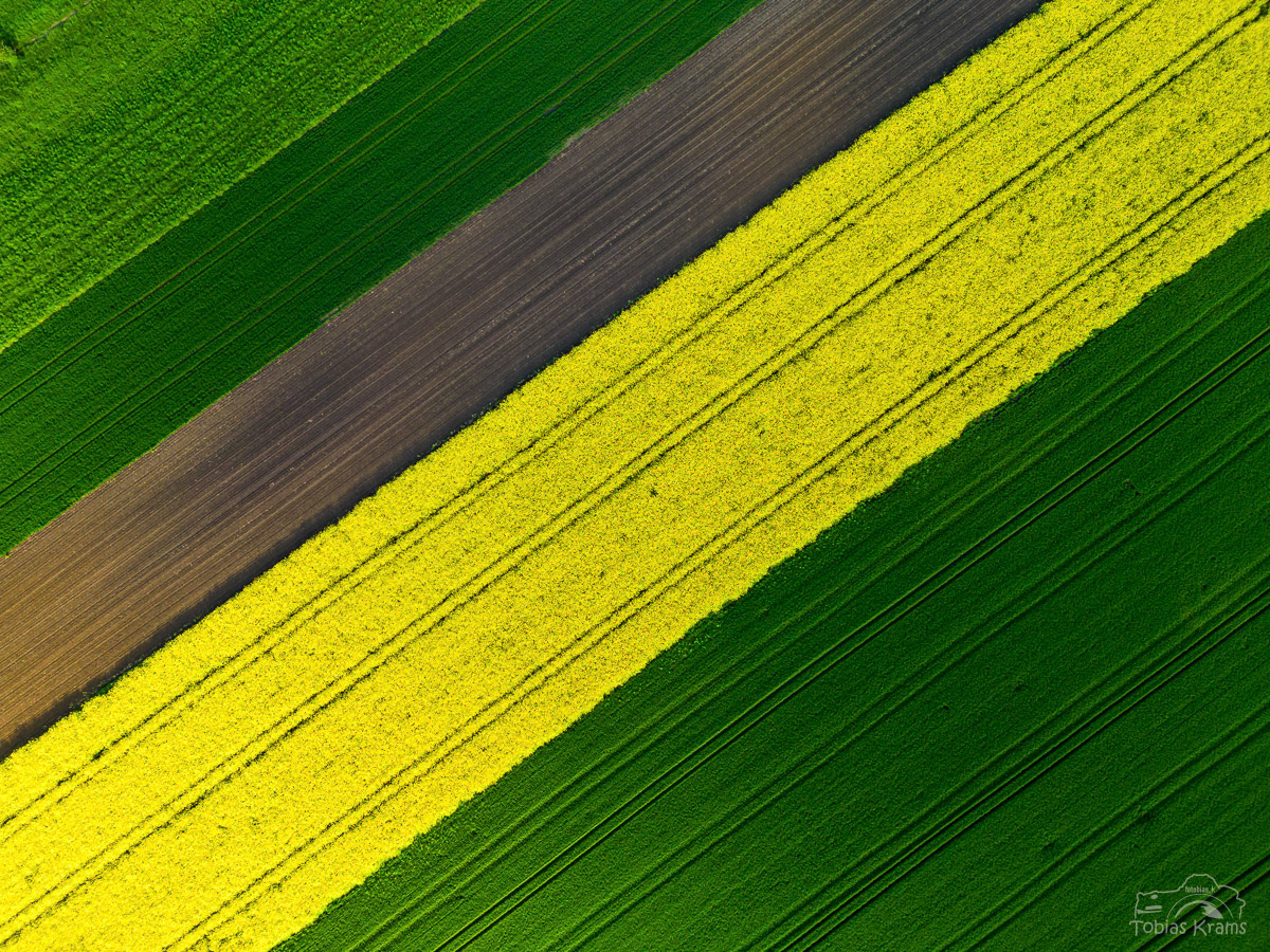 Steifen - Mettenbacher Moos 2023