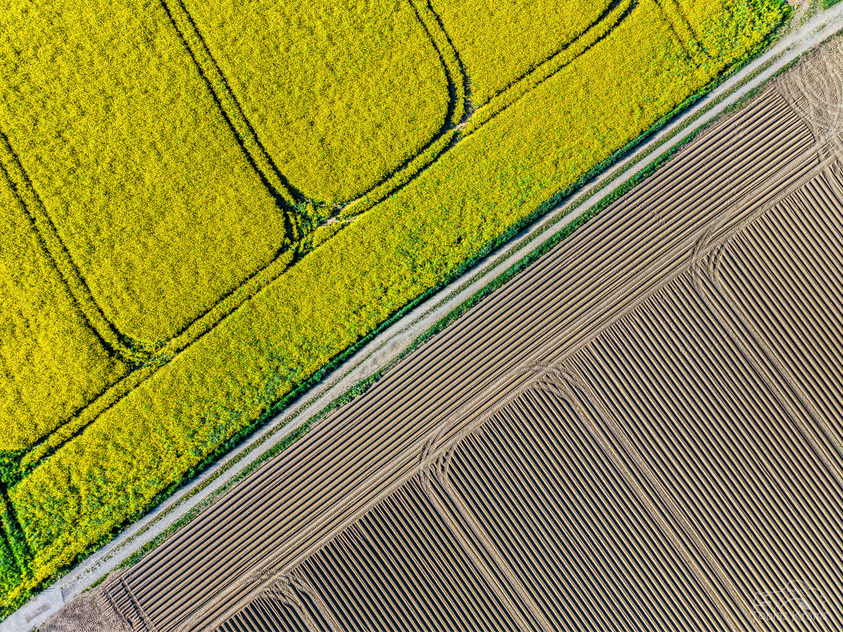 Formen - Mettenbacher Moos 2025