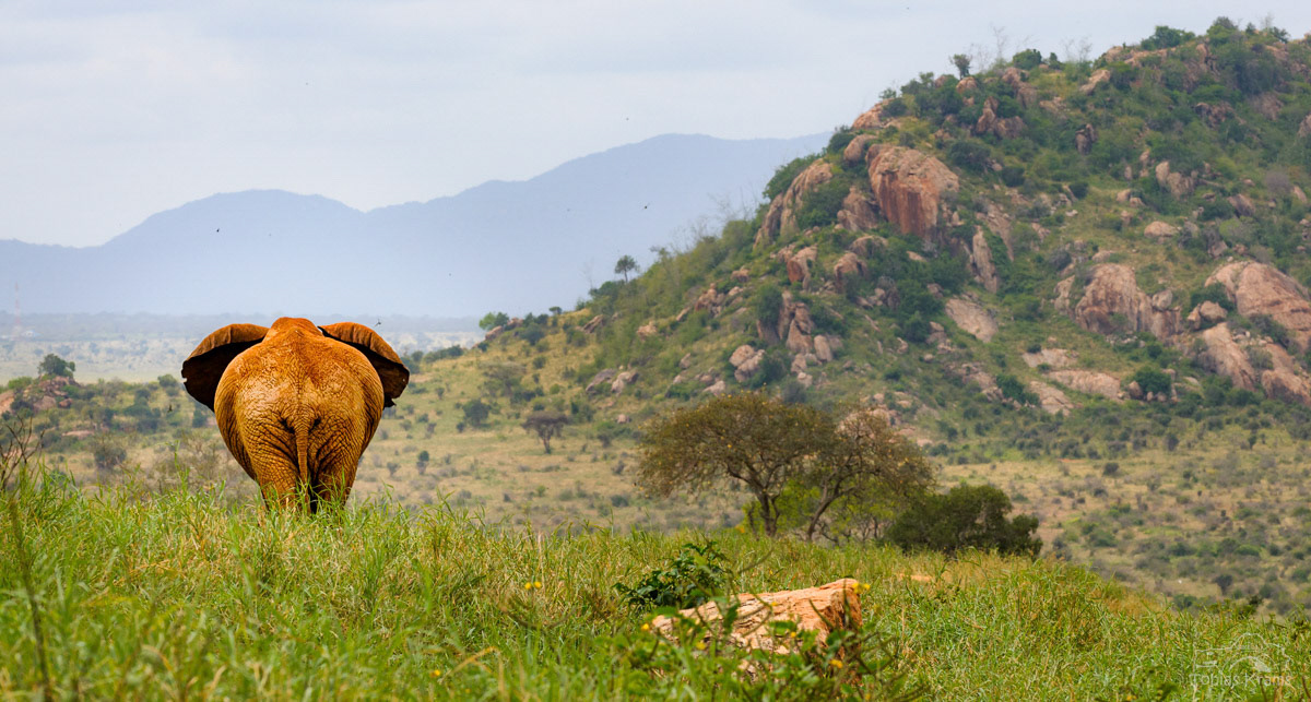 Kenia 2010