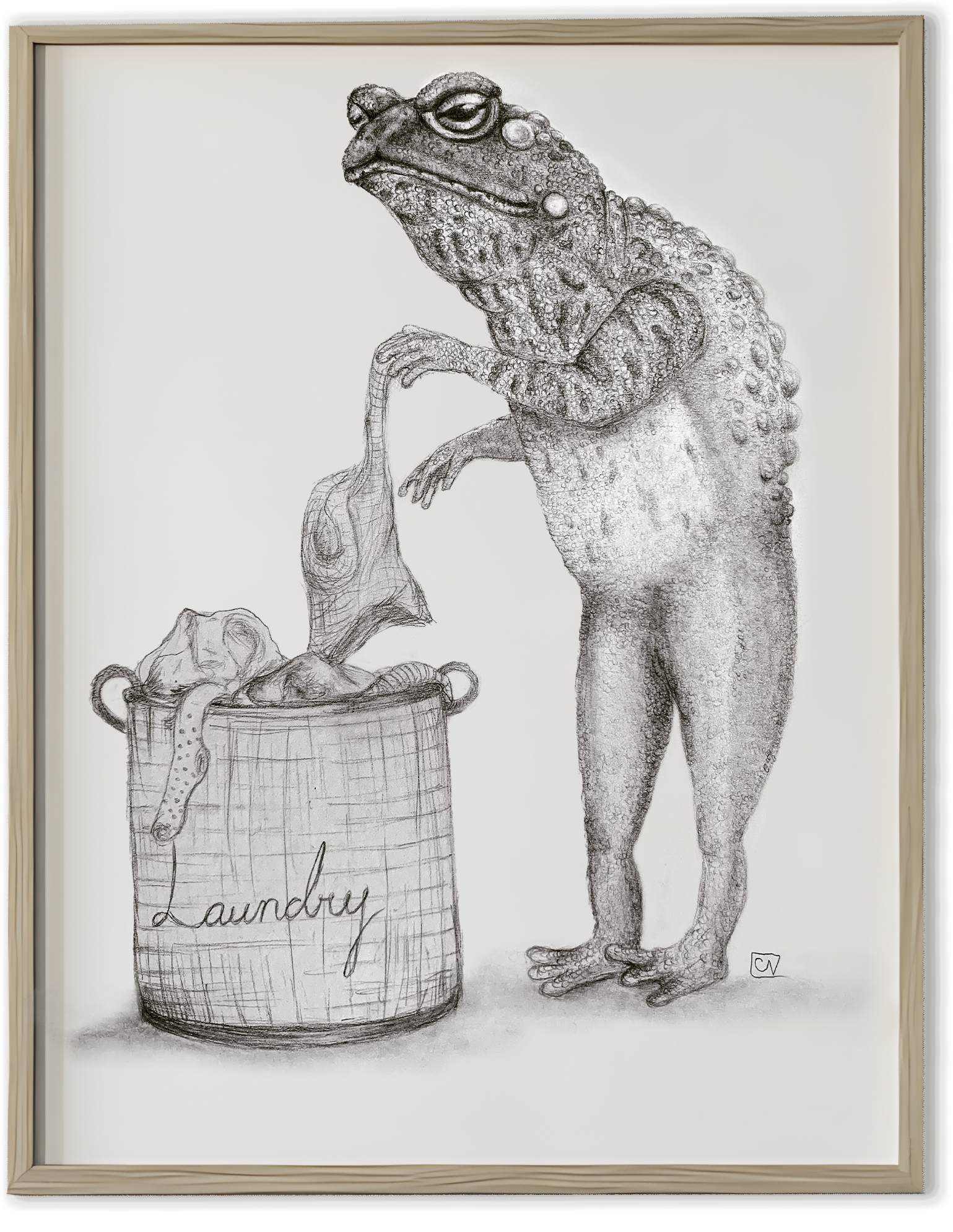 "Laundrotoad" Graphite Sketch