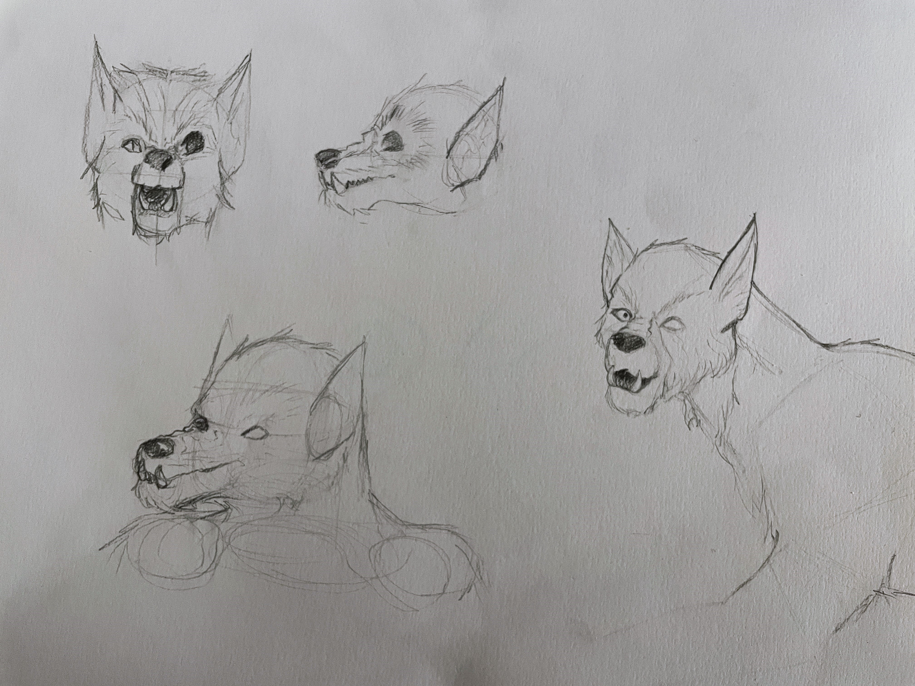 erste Ideen für einen Werwolf