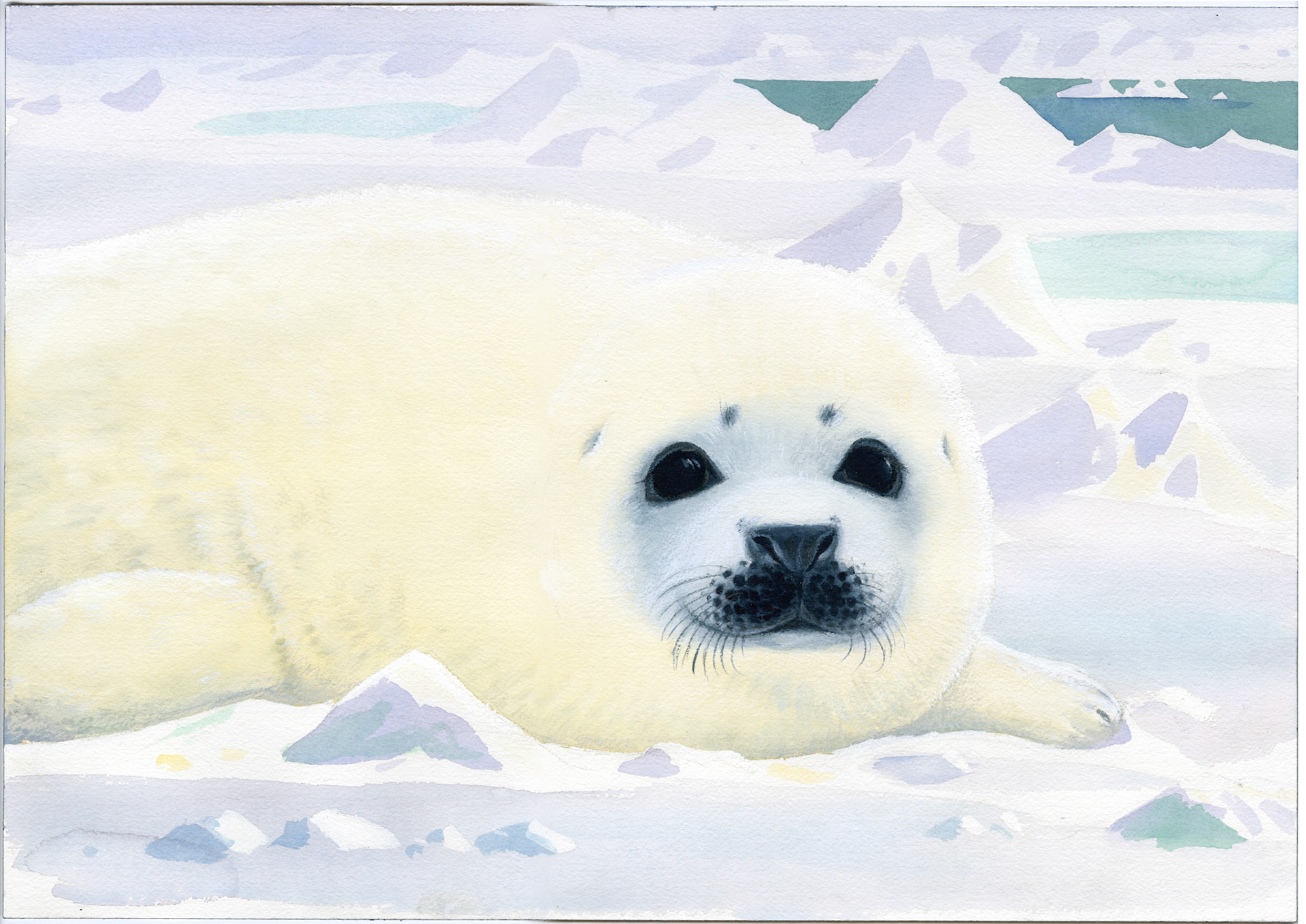 Den lilla sälungen av Odd F. Lindberg, Illustration till omslaget