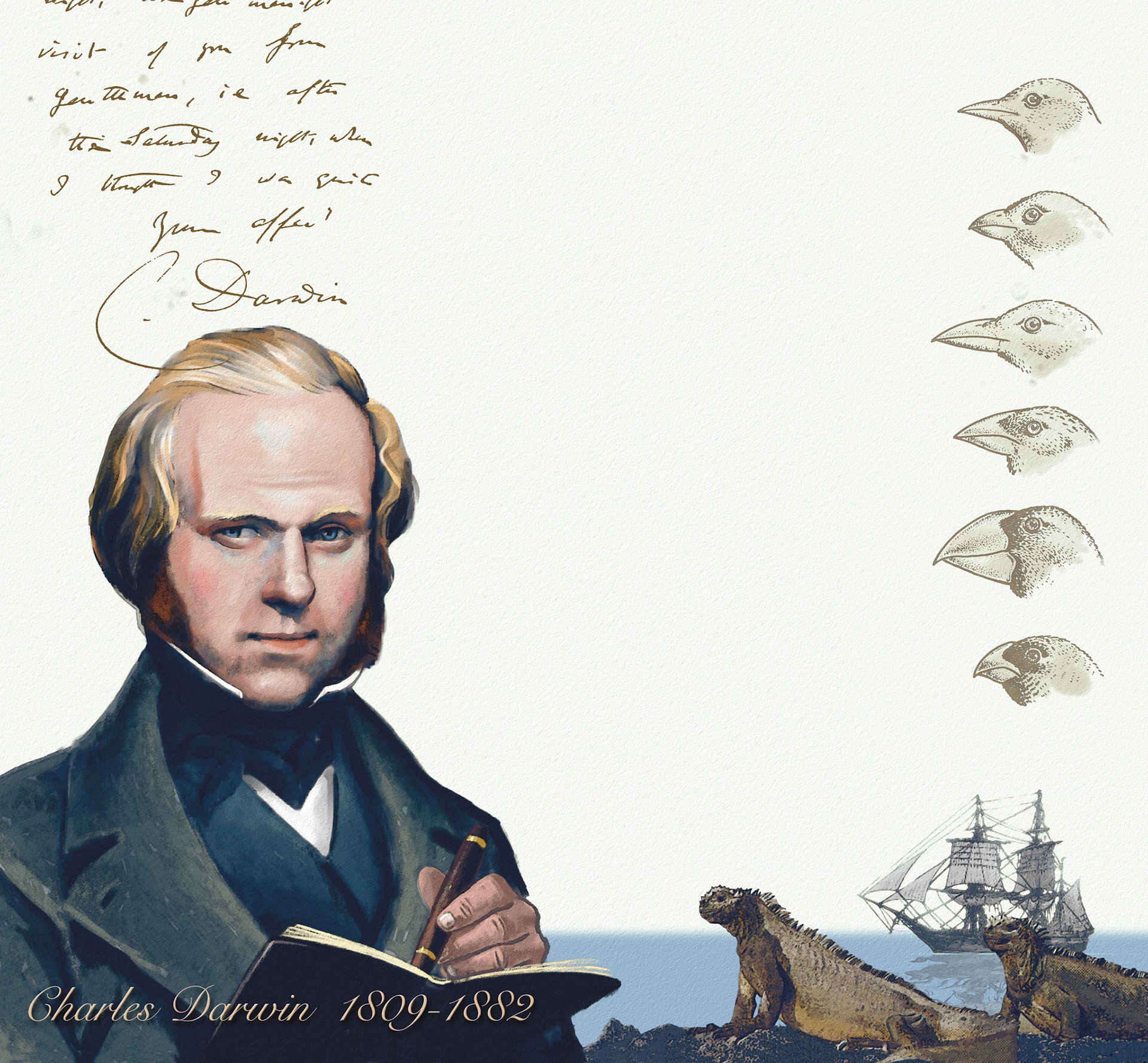 Darwin / Natur och kultur