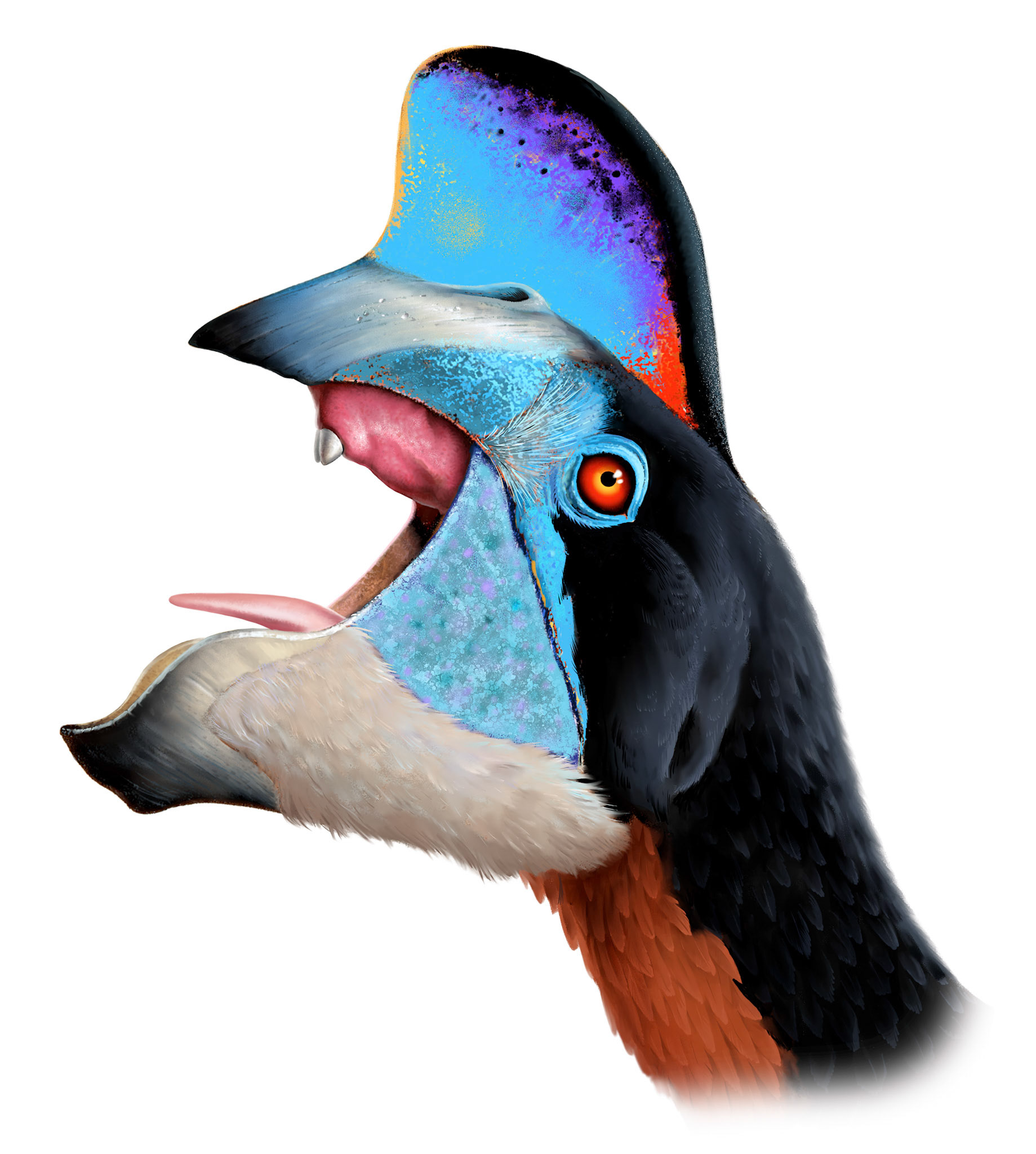 Illustration till egen faktabok / Semic