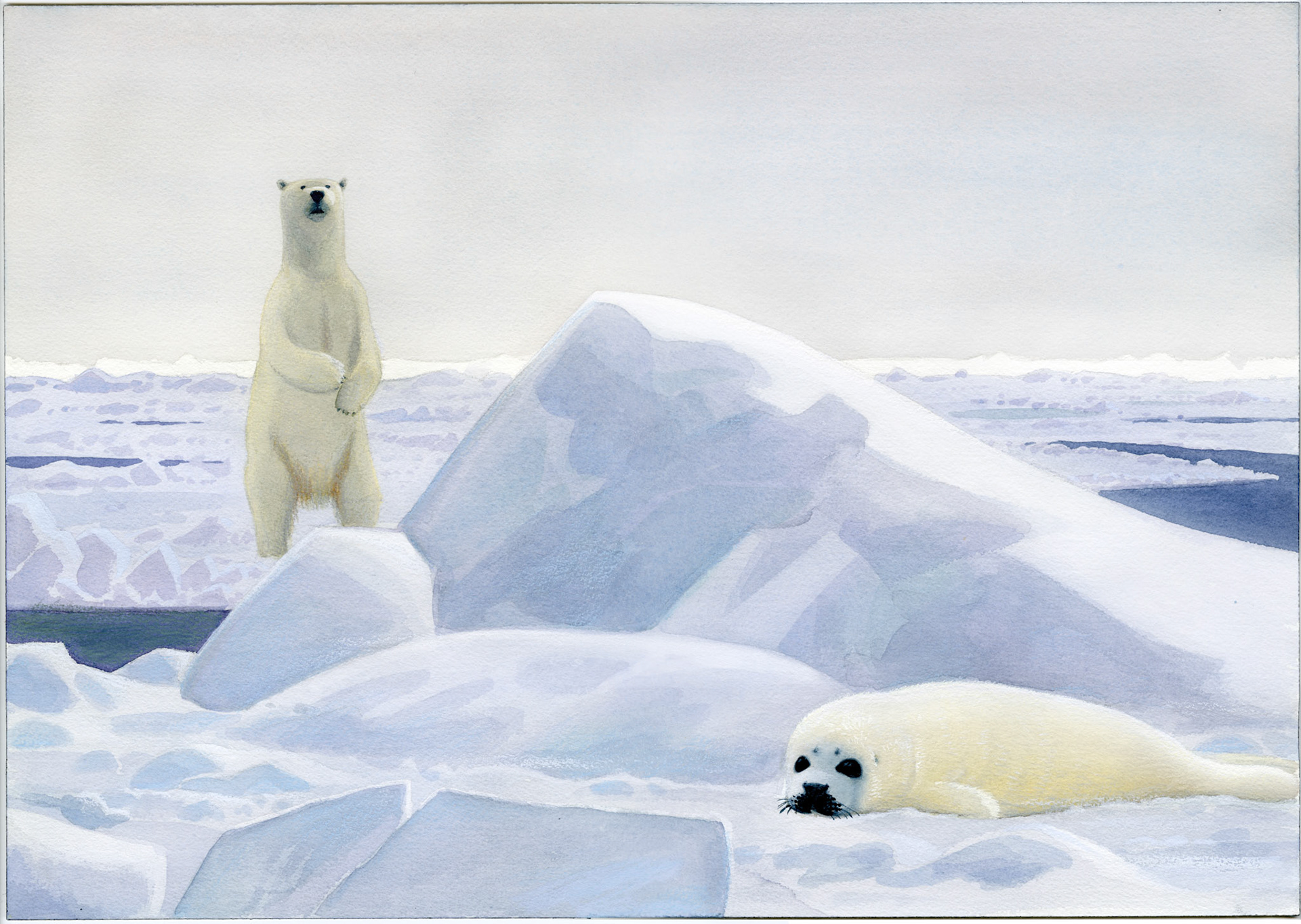 Den lilla sälungen av Odd F. Lindberg, Illustration till inlagan