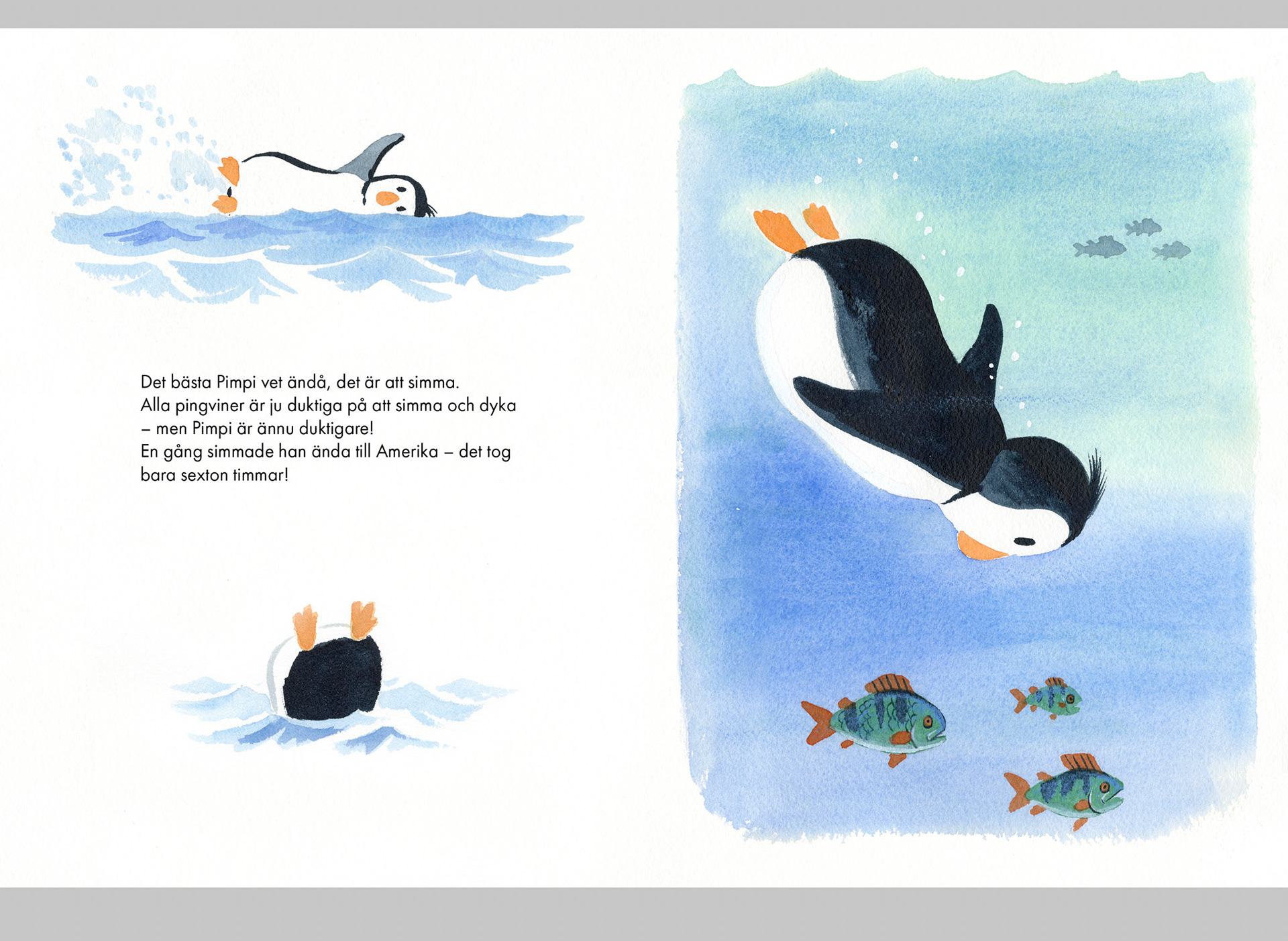 Pimpi – världens bästa pingvin: Egen text och bild / Rabén och Sjögren
