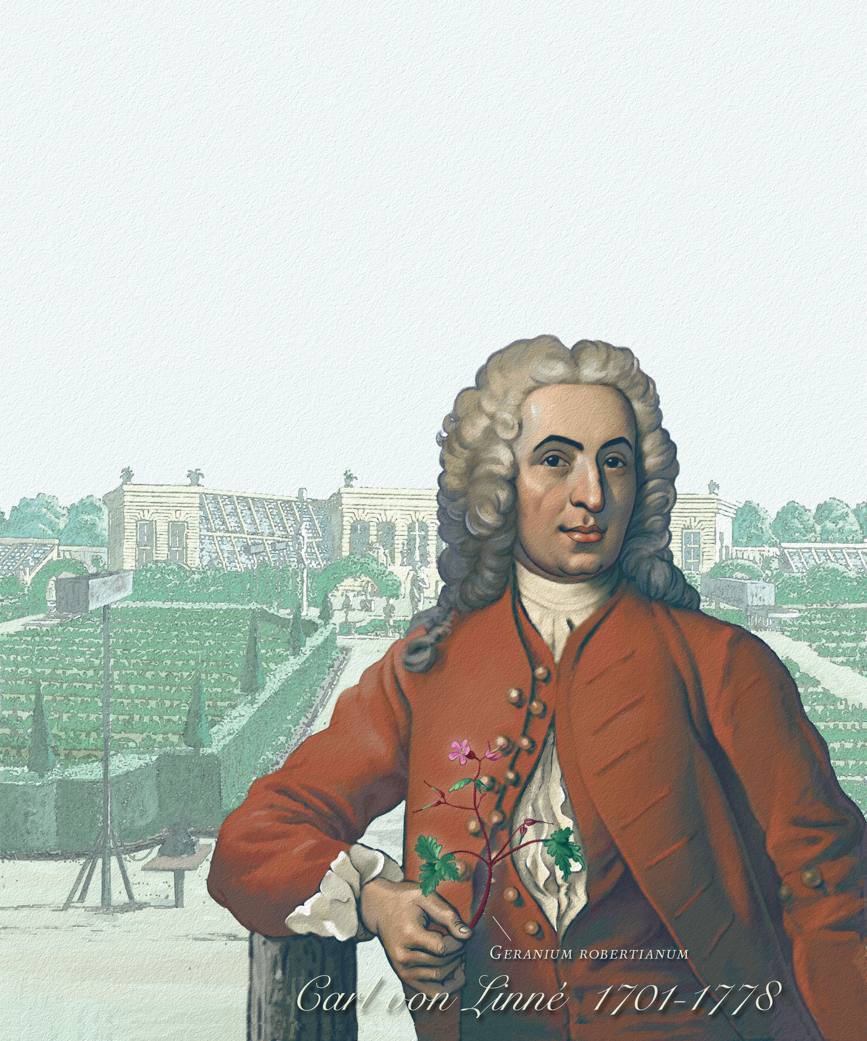 Linné / Natur och kultur